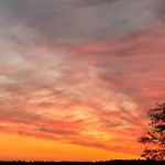 O'hara By Interhome Lychen