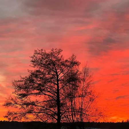 O'hara By Interhome * Lychen