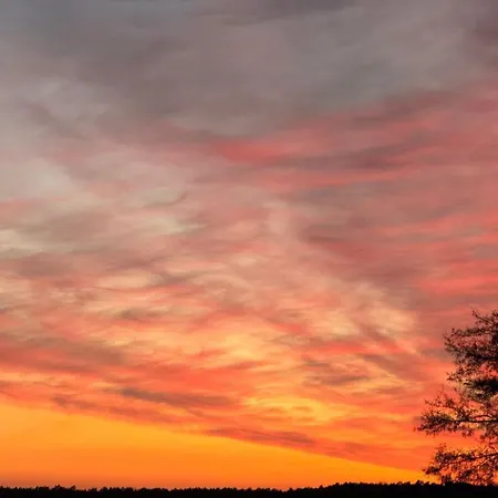 O'hara By Interhome Lychen