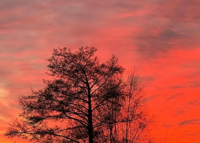 O'hara By Interhome * Lychen