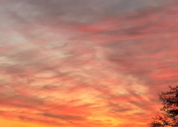 O'hara By Interhome لوشن